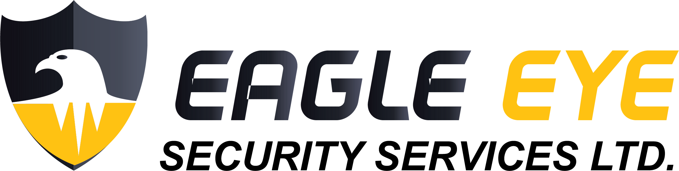 Eagle Eye Security logo